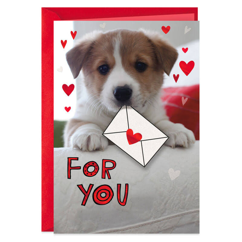 Warm and Fuzzy Puppy Valentine's Day Card