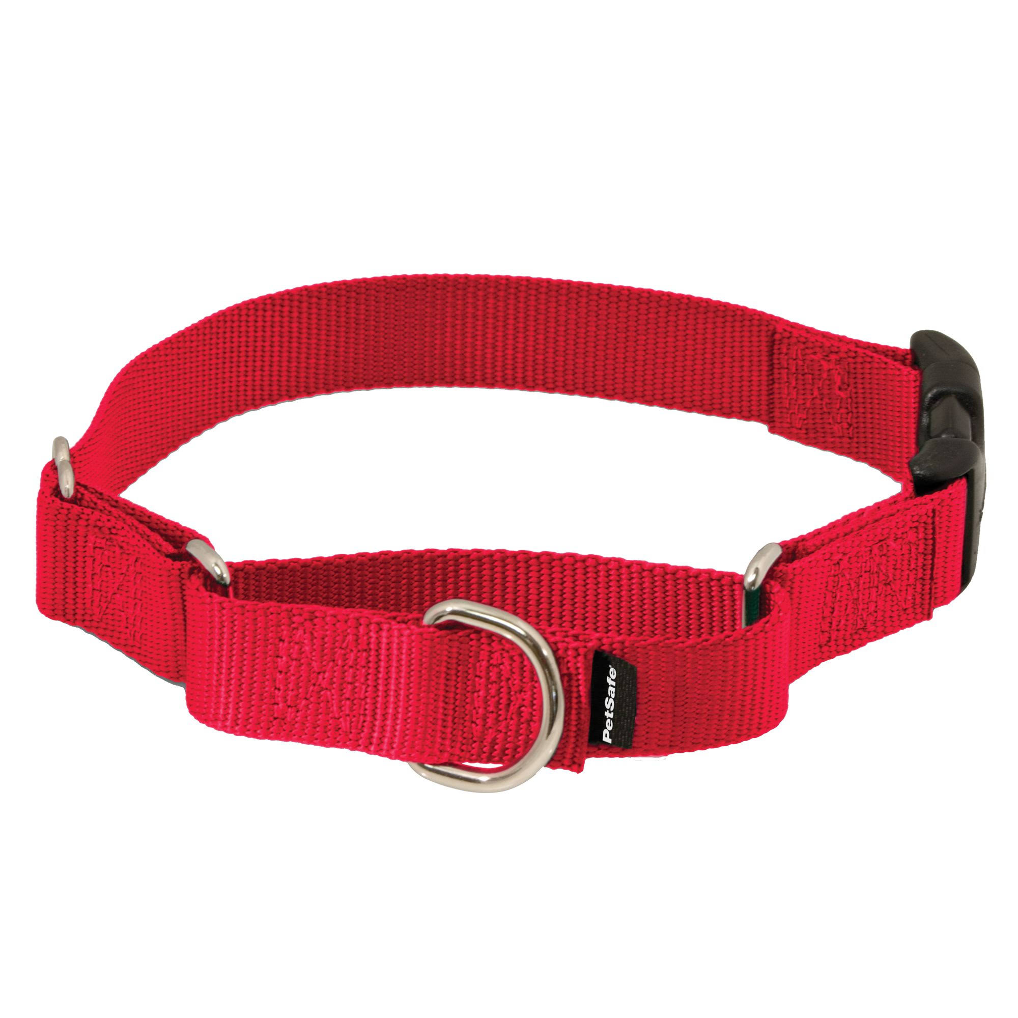 PetSafe Martingale Collar with Quick Snap Buckle - 3/4in, Small, Red