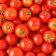https://www.thespec.com/living-story/7476085-whether-vegetable-or-fruit-tomatoes-are-healthy/