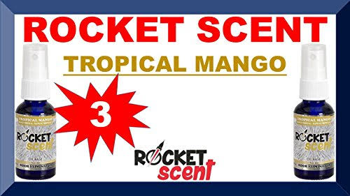 Rocket Scent 100 Concentrated Oil Air Freshener - 3ct, 20ml