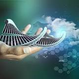 Israeli study says DNA editing method can damage genome