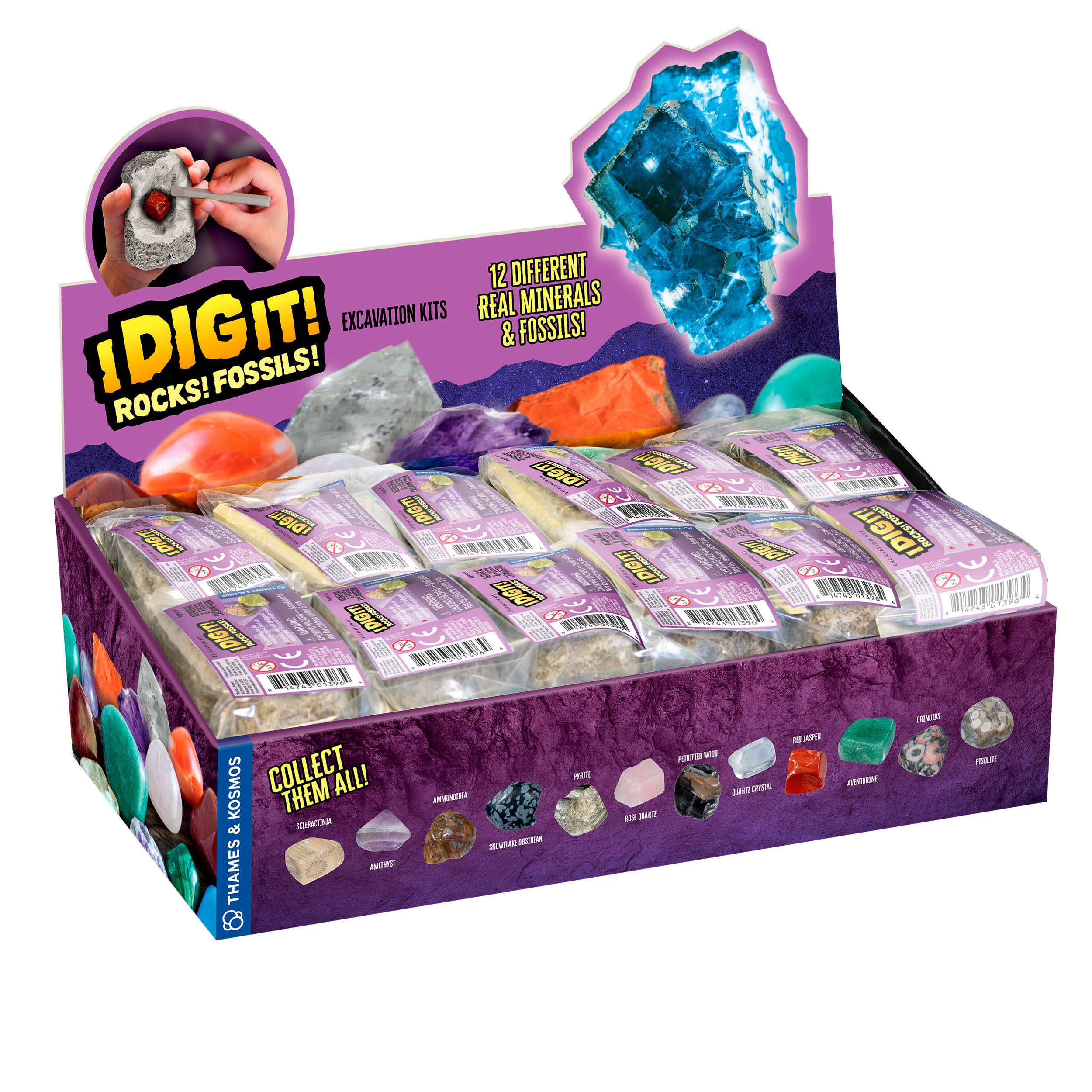 Thames & Kosmos - 601607 | I Dig It! Rocks & Fossils - Assorted (One per Purchase)