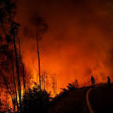Hevige branden in Griekenland, Spanje en Slovenië door hitte