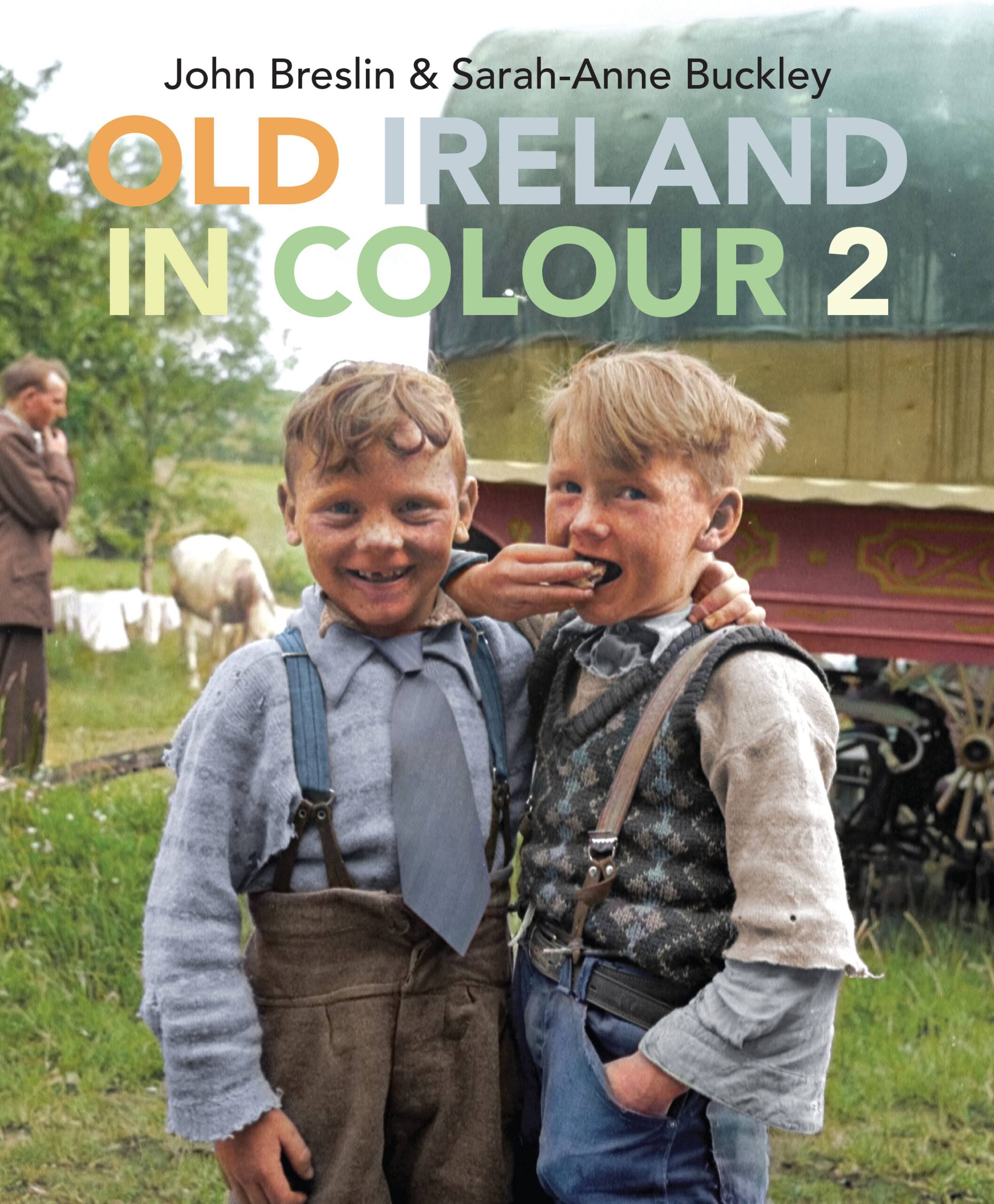 Old Ireland in Colour 2 [Book]
