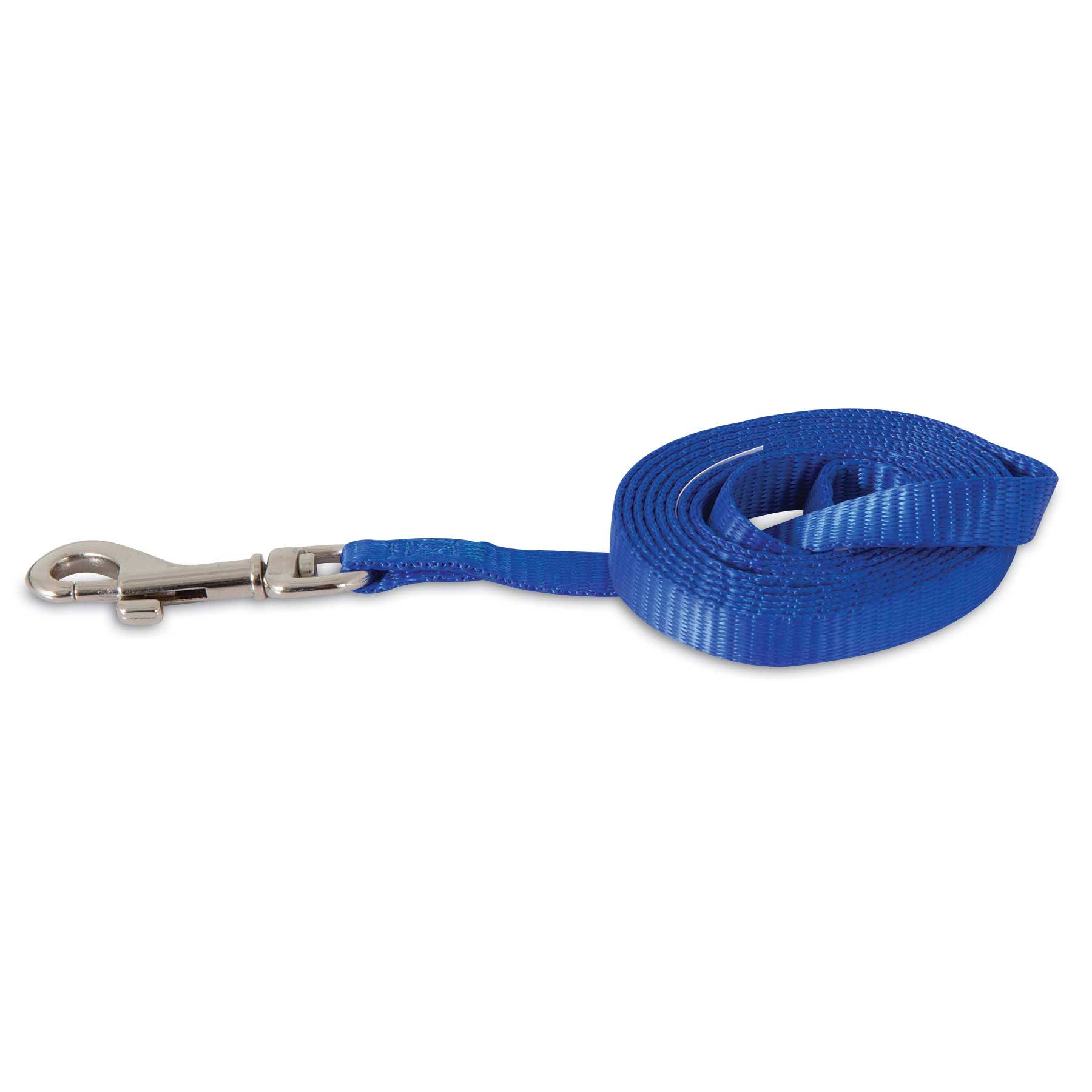 Aspen Pet Products Standard Nylon Leash - Blue, 4ft x 3/8in