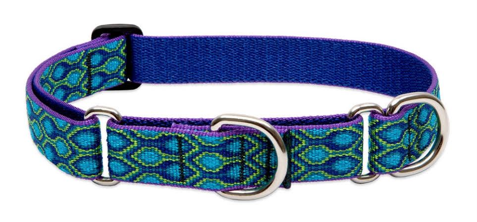 LupinePet Originals 1 Rain Song 19-27 Martingale Collar for Large Dogs