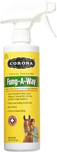 Fung A Way Fungicide Solution - 16 Oz