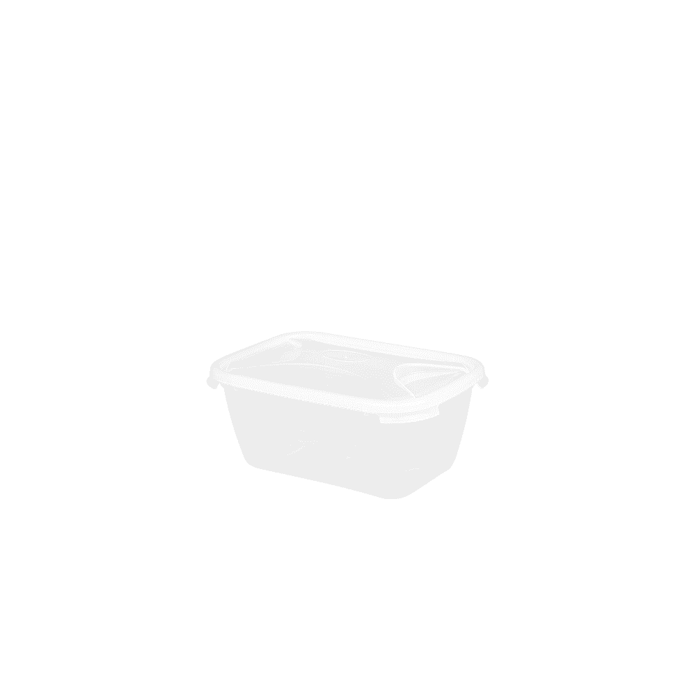Wham Storage 3.6 Litre Rectangular Plastic Food Box (16287) Colour: CL
