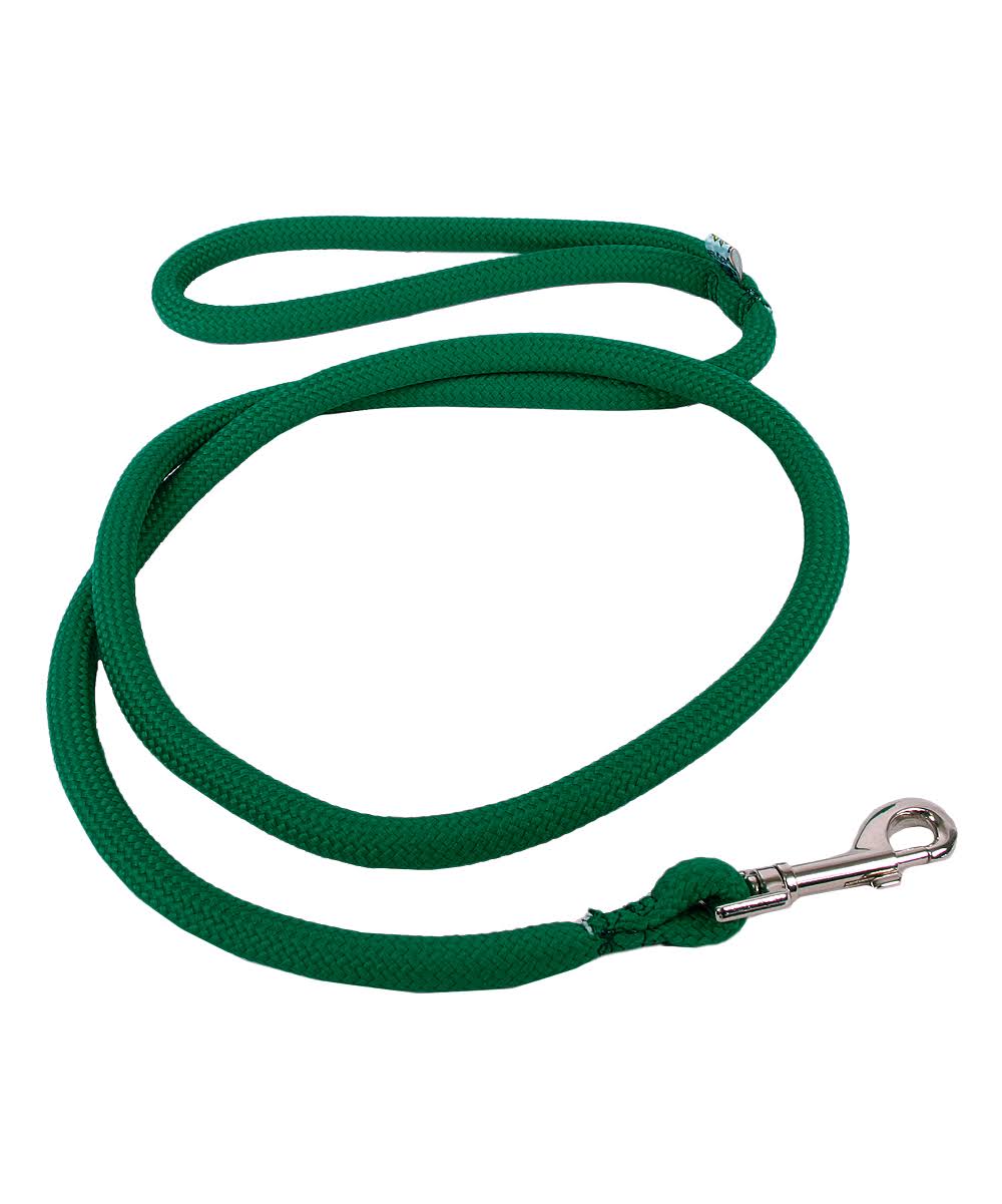 Yellow Dog Design Pet Leashes Multi - Kelly Green Braided Rope Lead