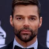 Ricky Martin Reportedly Accused of Incest in Domestic Abuse Case