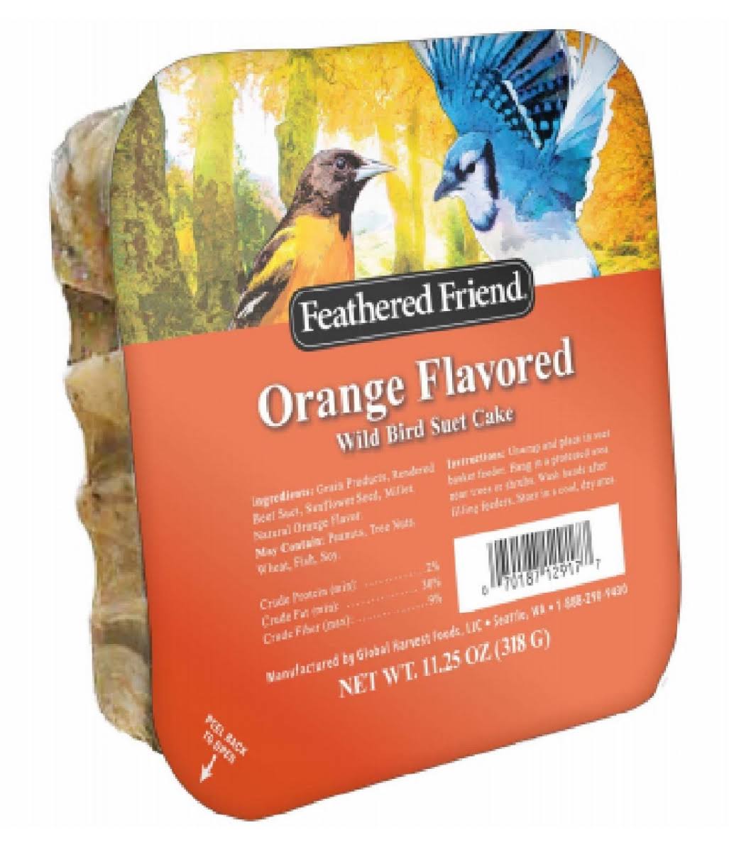 Global Harvest Foods 109801 Orange FlavorSuet Wild Birds Suet Cake