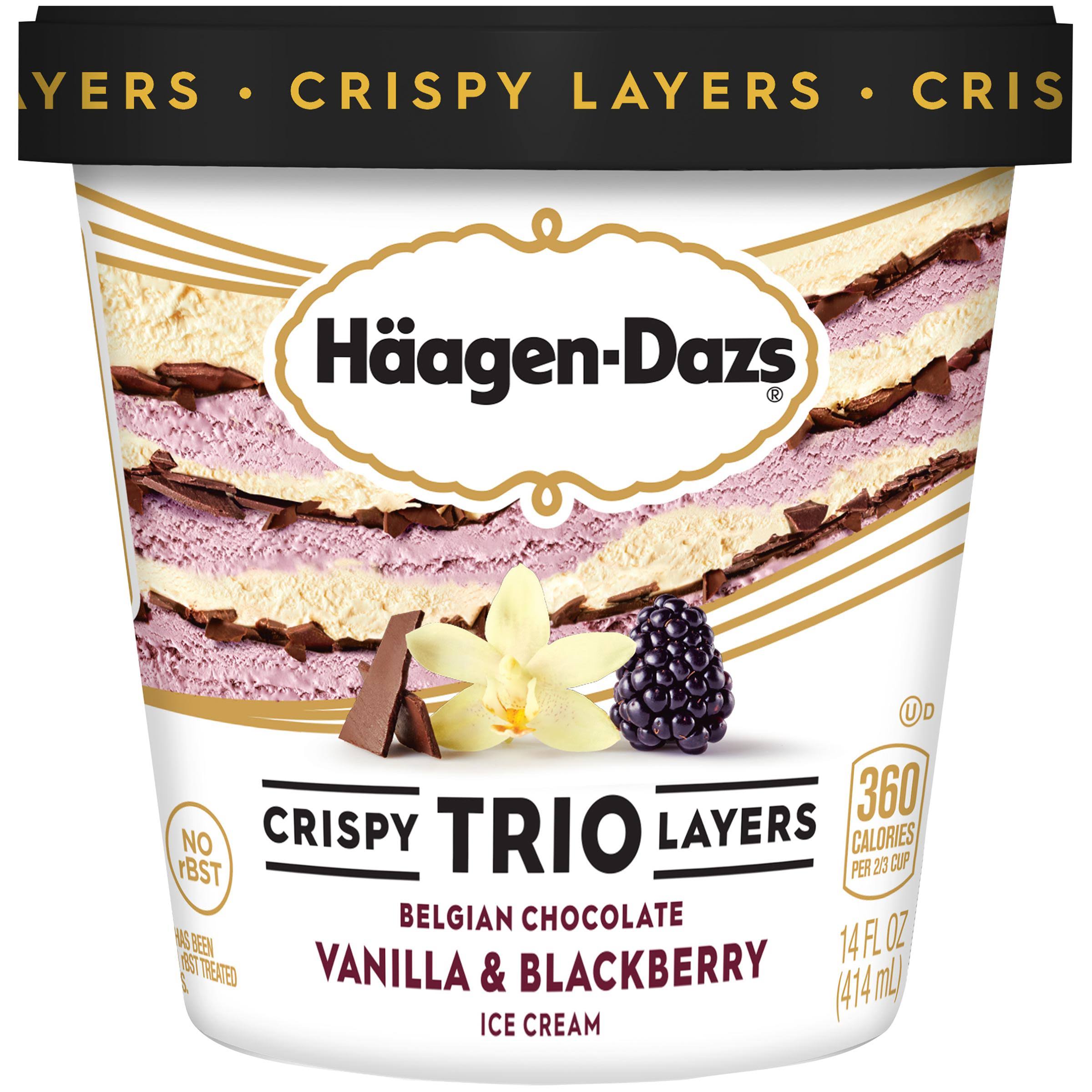 Häagen Dazs Trio Ice Cream - Vanilla Blackberry and Chocolate, 14oz