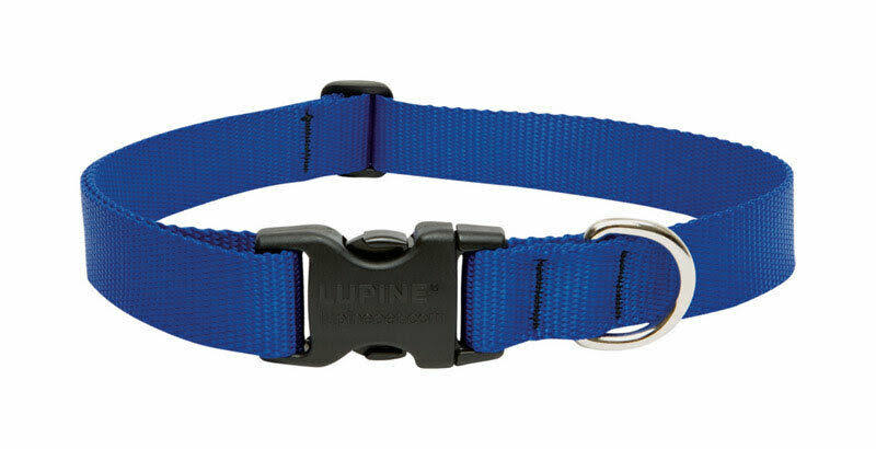 Lupine Dog Collar - Blue