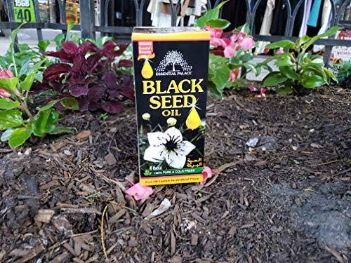 Essential Blessings Black Seed Oil