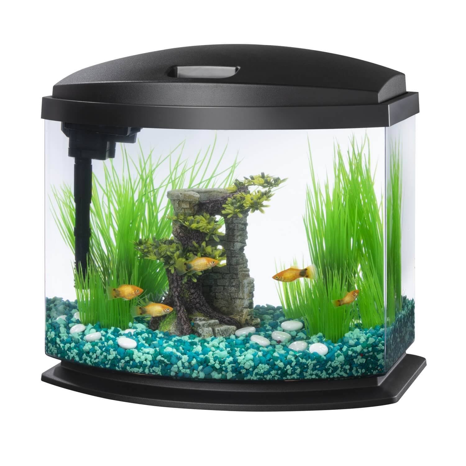 Aqueon LED MiniBow 5 SmartClean Aquarium Kit Black - 5 gallon