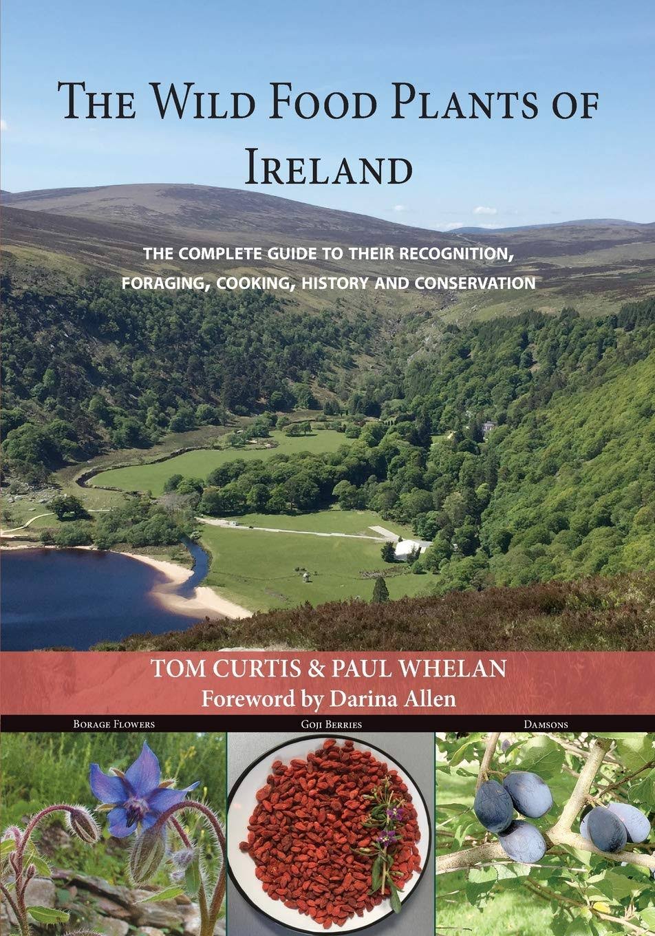 The Wild Food Plants of Ireland: The Complete Guide to Their Recognition, Foraging, Cooking, History and Conservation [Book]