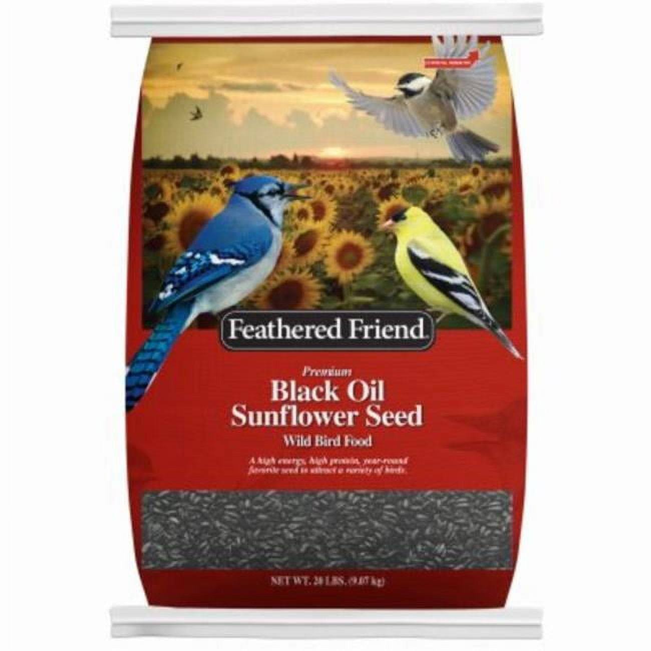 Feathered Friend Black Oil Sunflower Wild Bird Seed, 20 lb.