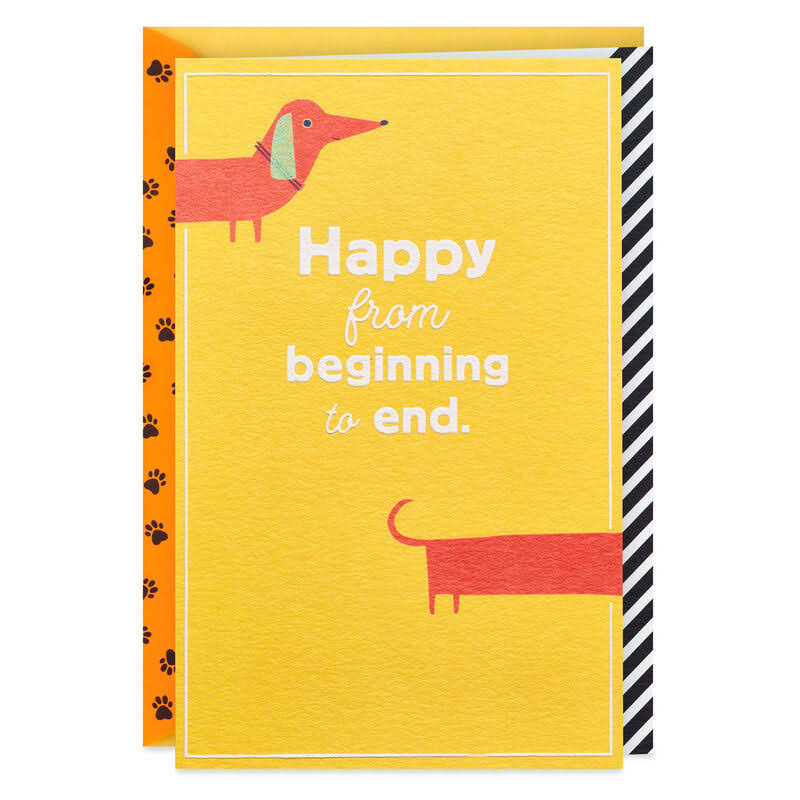 Hallmark Birthday Card, Wiener Dog Happy from Beginning to End Birthday Card