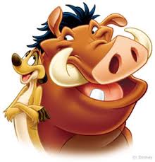      Disneys Timon Pumbaa  40  