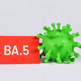 BA.5 subvariant causes alarm in US, China: This is the most infectious strain yet