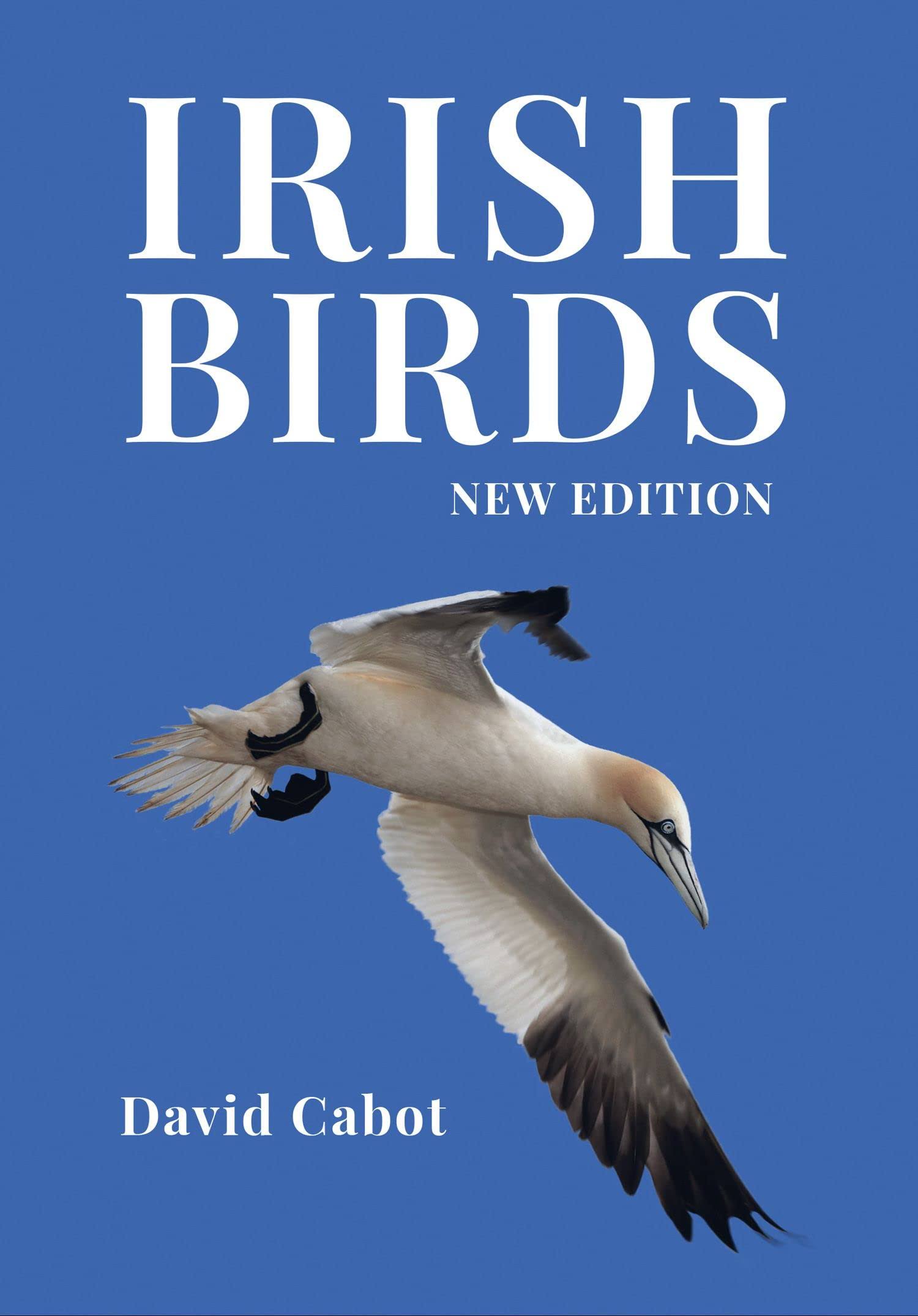Irish Birds by David Cabot