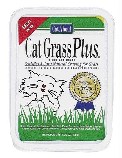 Gimborn Cat About Cat Grass Plus - 150g