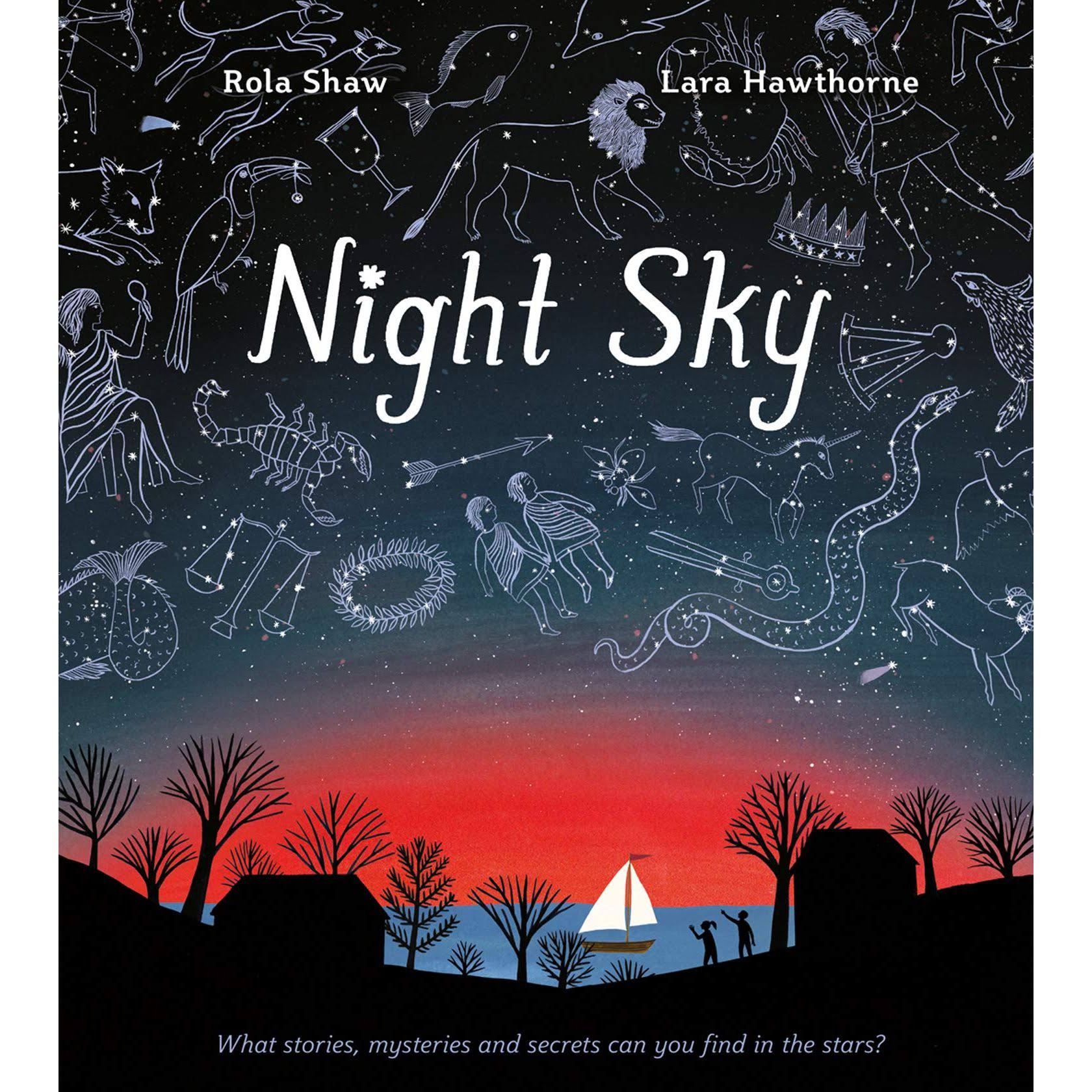 Night Sky [Book]