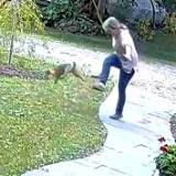 Video shows aggressive fox with rabies attack woman as she fights it off