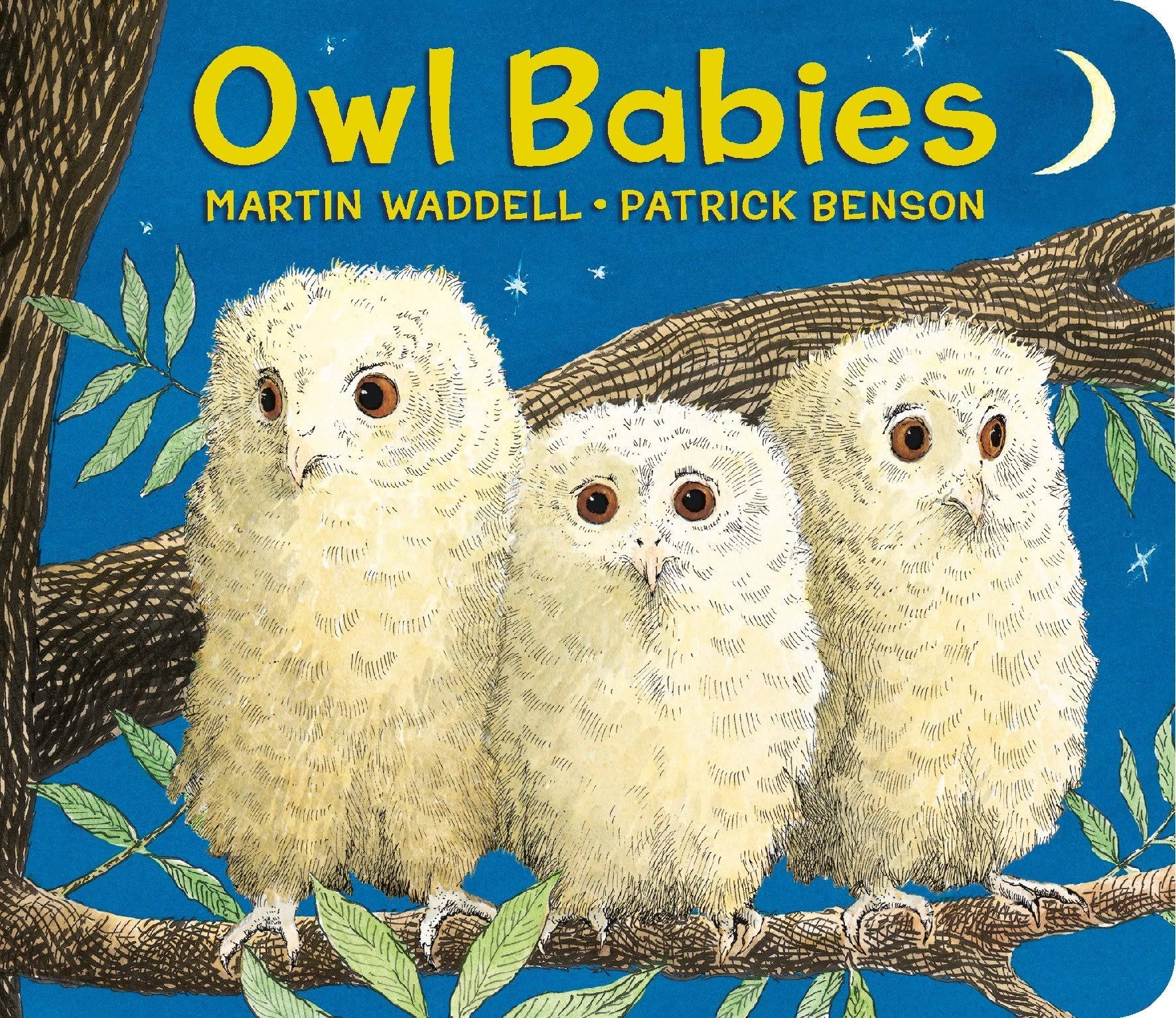 Owl Babies [Book]