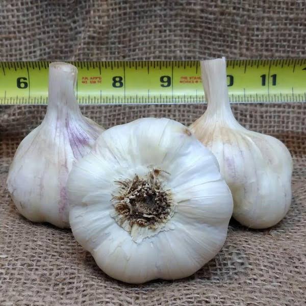 I Love Produce Garlic, 100% Fresh, Peeled - 16 oz