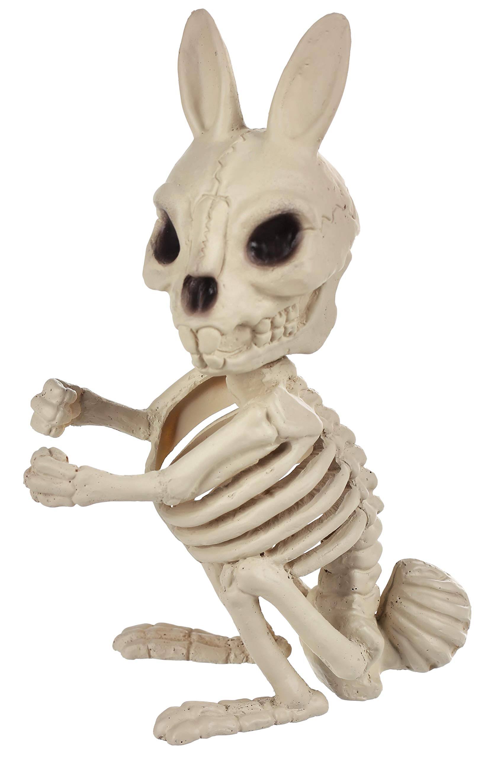 Bunny Skeleton N2752652