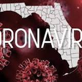Florida's coronavirus deaths' increase down to 230 over 2 weeks