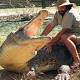 Croc tried to drag 'Barefoot Bushman' into water 