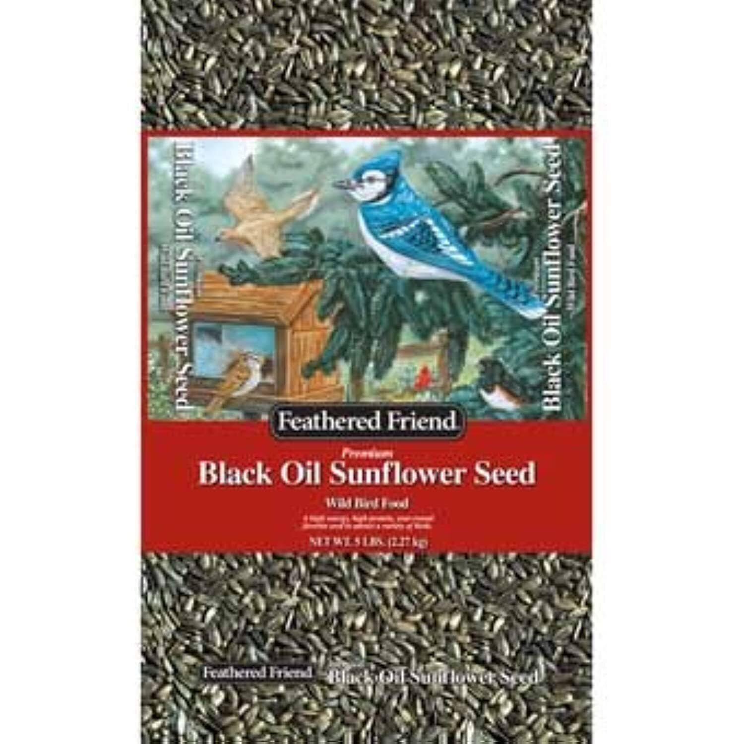 Feathered Friend Black Oil Sunflower Seed Wild Bird Food 5-Lb. Bag 14186