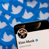 Musk says Twitter deal could move ahead with 'bot' info