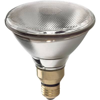 GE Lighting Halogen Bulb - 60W, 1070 Lumens