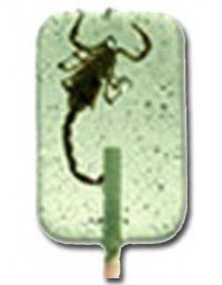 Scorpion Suckers Insect Bug Candy Lollipops - Edible Bugs