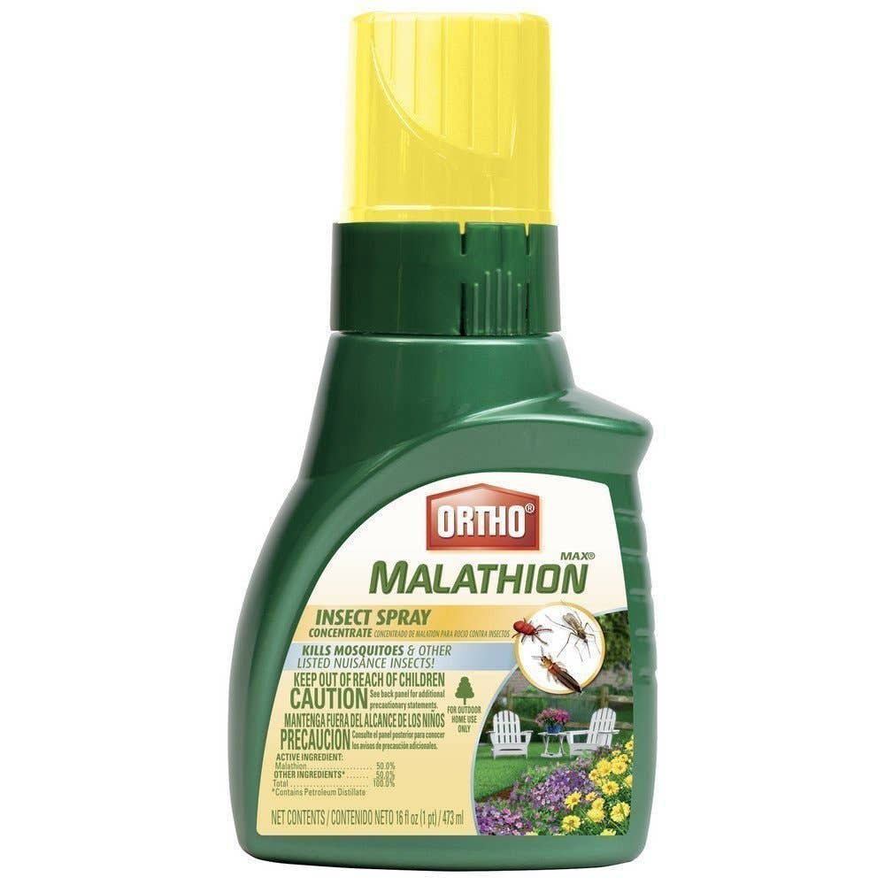 Product Ortho Max Malathion Insect Spray Concentrate - 16oz