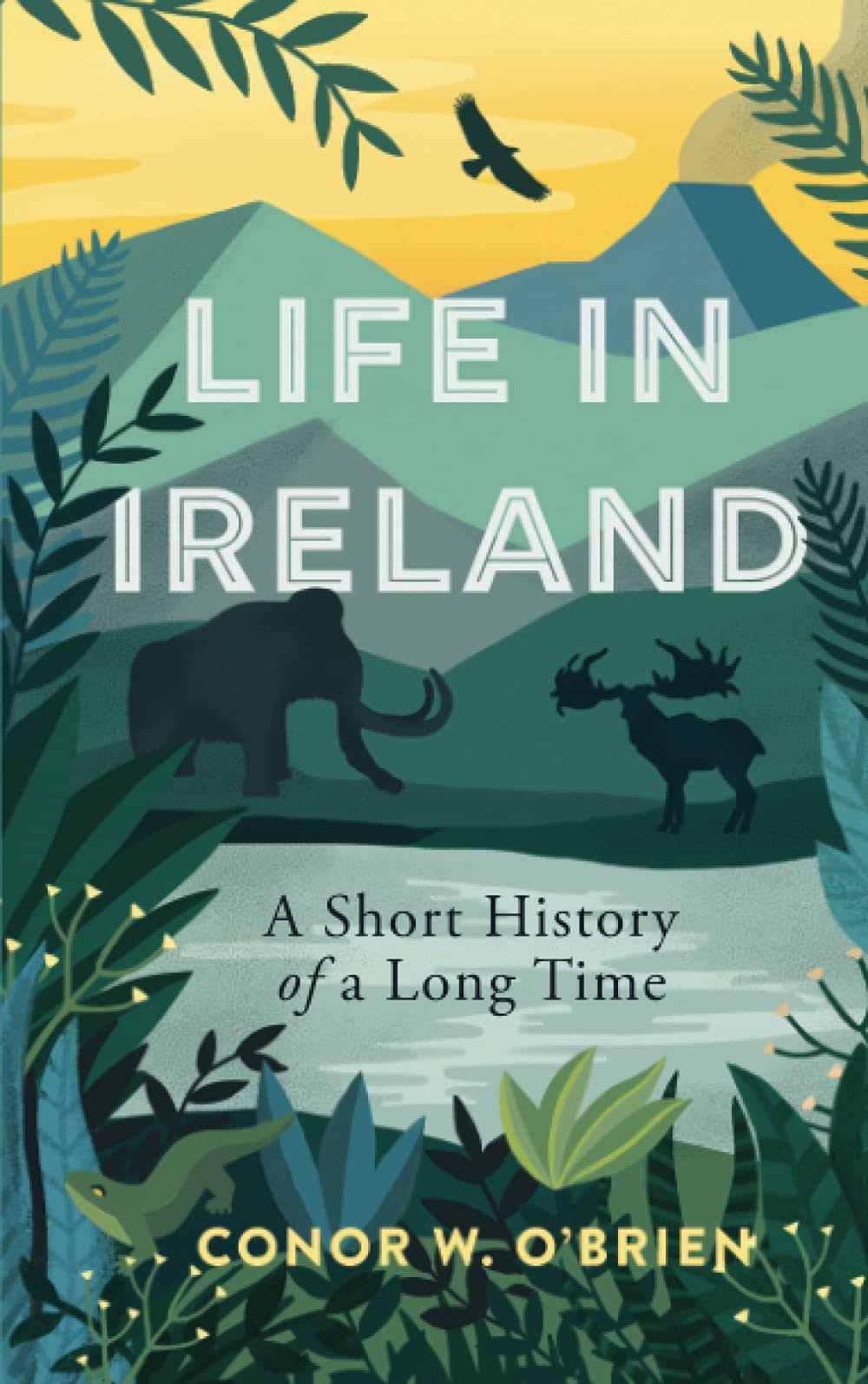 Life in Ireland by Conor O'Brien