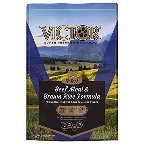Victor Dry Dog Food - Beef and Brown Rice, 5lb