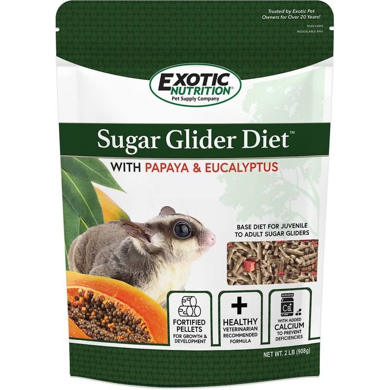 Sugar Glider Diet with Papaya and Eucalyptus - High Protein All Natural Healthy Sugar Glider Food - Nutritionally Complete Staple Diet