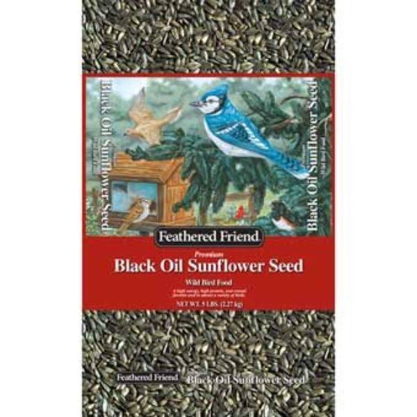 Feathered Friend Black Oil Sunflower Seed Wild Bird Food 5-Lb. Bag 14186
