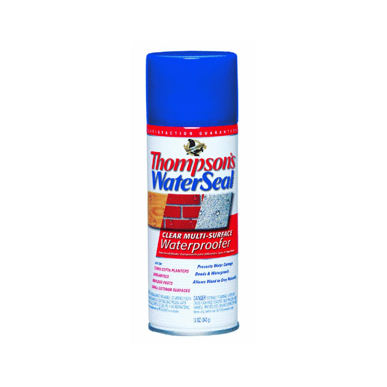 Thompson's Water Seal Multi-Surface Waterproofer - Clear, 12oz