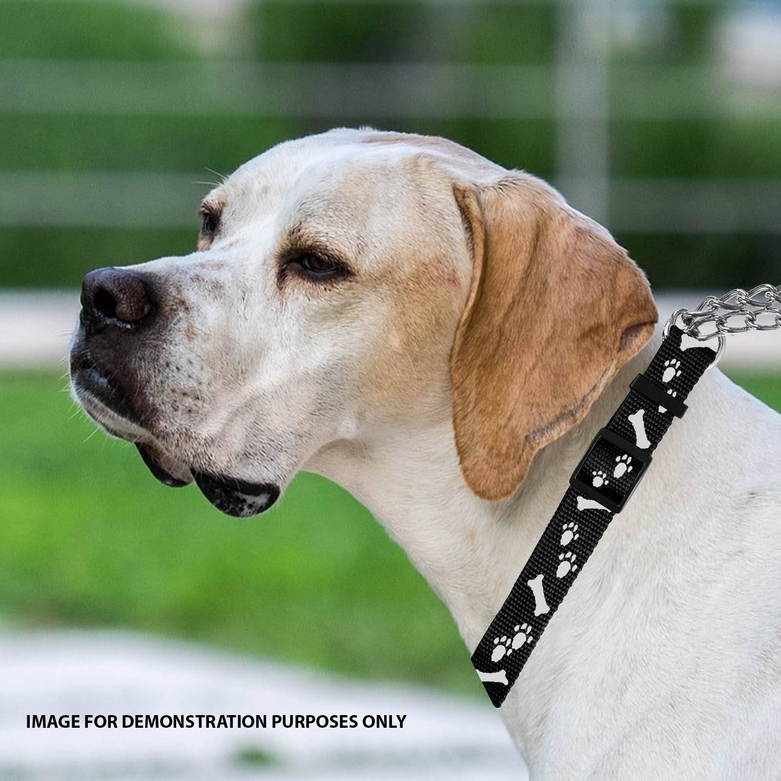 Dog Adjustable Half Semi Choke Choker Check Chain Training Trainer Collar 04A