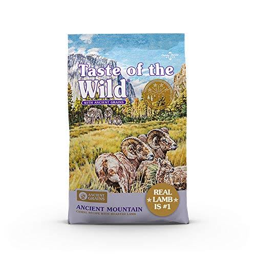 Taste of The Wild with Ancient Grains Ancient Mountain Canine Recipe with Roasted Lamb Dry Dog Food, Made with High Protein from Real Lamb and