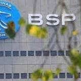 No bank sought BSP support since pandemic
