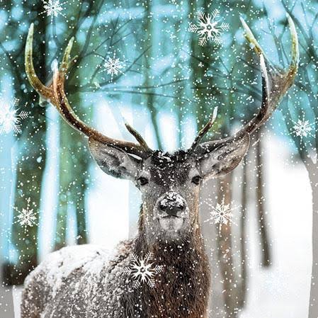 Cocktail Napkin - Winter Deer