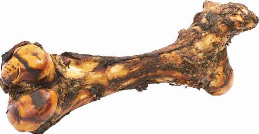 Redbarn Pet Products Mammoth Dog Bone - 14" to 16"