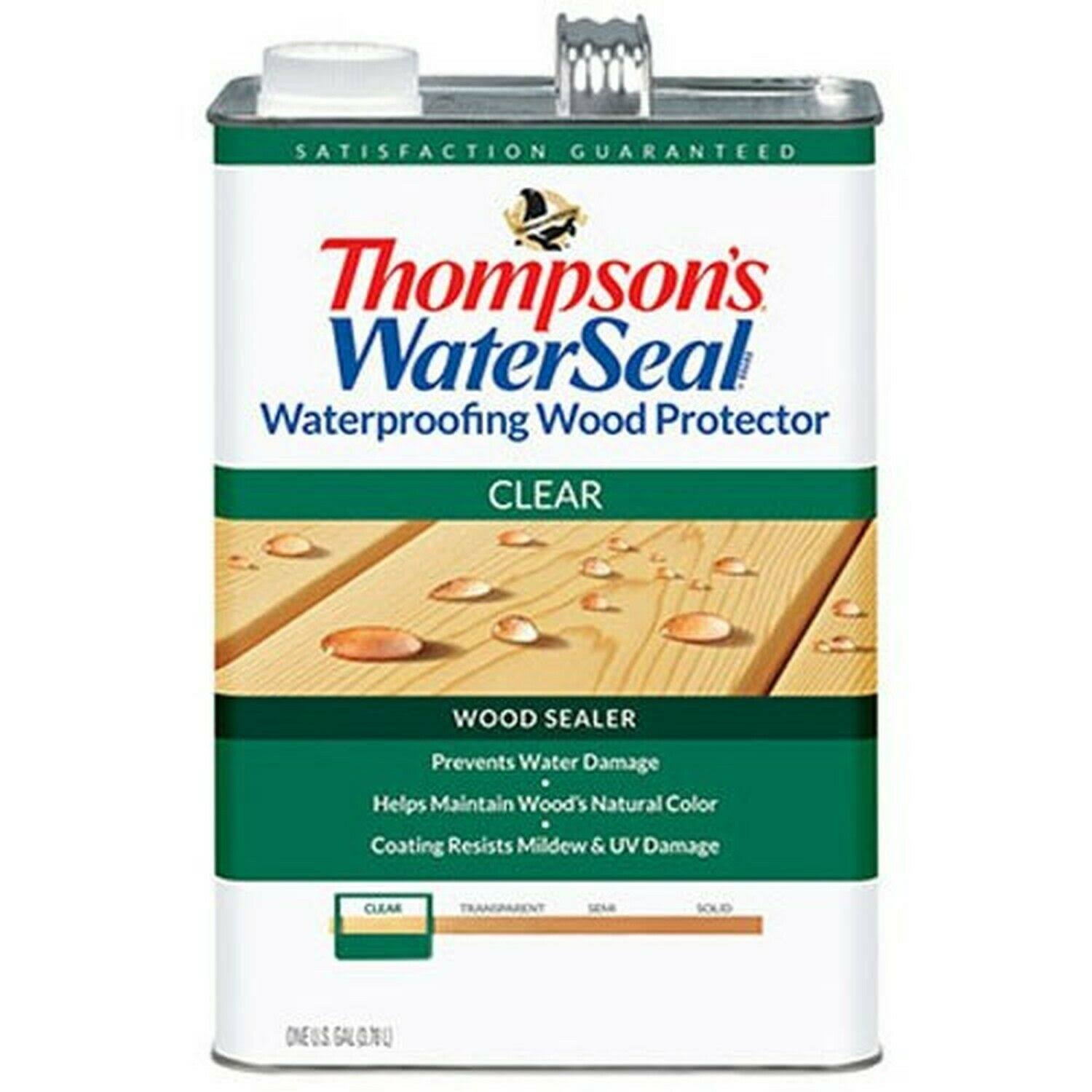 Thompson's Waterseal Wood Protector - Clear