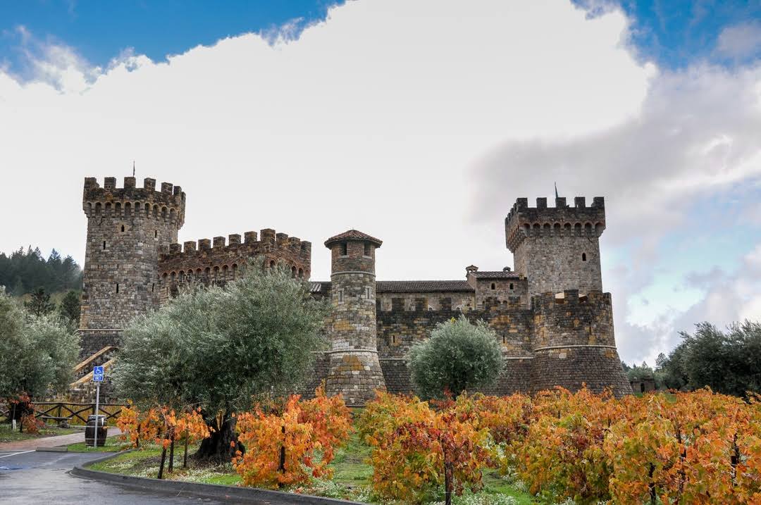 Castello di Amorosa image